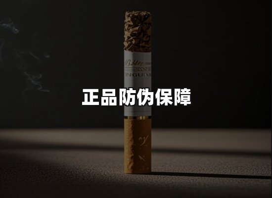 专业优势